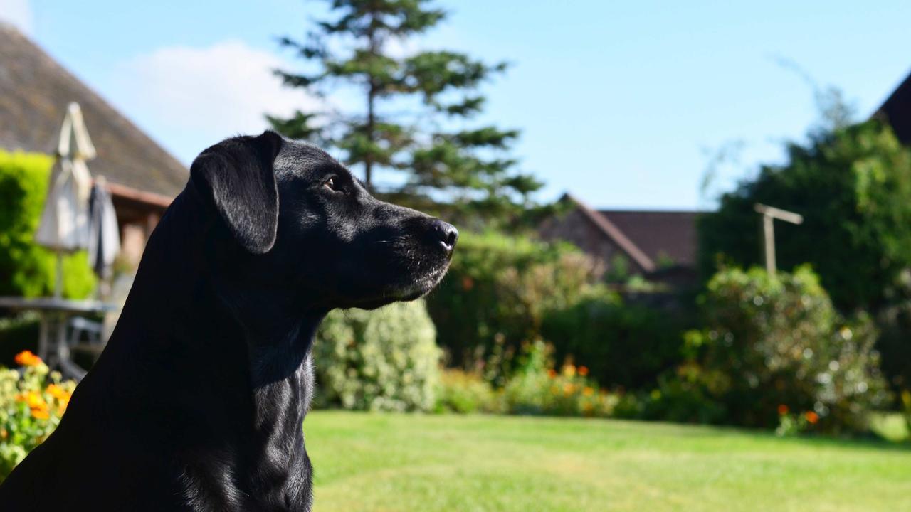 The Dinney B&B Bridgnorth Ngoại thất bức ảnh